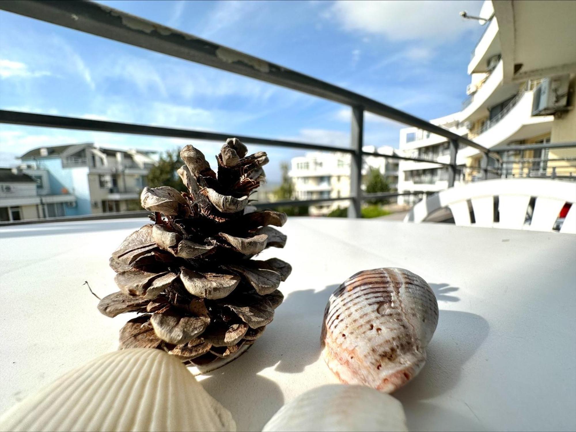 Menada Sunset Kosharitsa Apartments Dış mekan fotoğraf